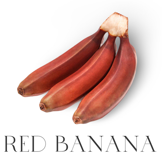 Fresh Red Bananas (5lb) – Sweet, Creamy, and Uniquely Flavorful! 🍌❤️