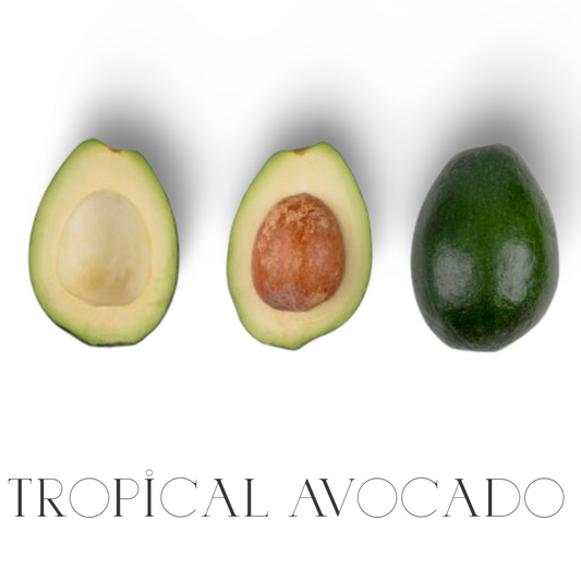 Tropical Avocados (5lb) – Creamy, Rich, and Exquisitely Flavorful! 🥑🌴