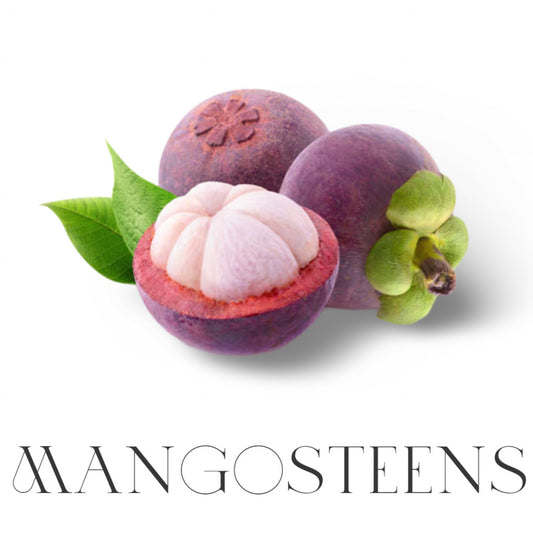 Fresh Mangosteens (3lb) – Sweet, Juicy, and the Queen of Fruits! 👑🍈